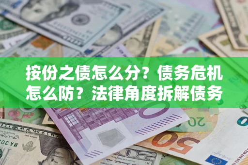 武汉按份之债怎么分？债务危机怎么防？法律角度拆解债务分配与风险自保指南