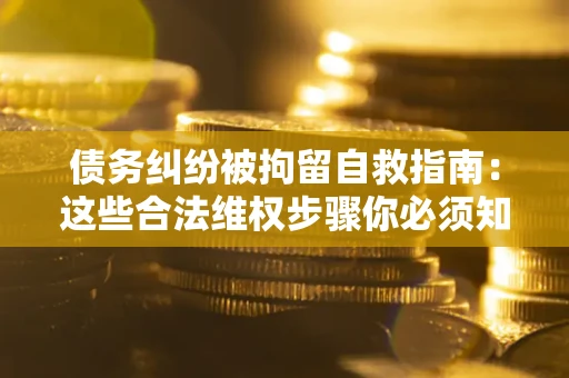 武汉债务纠纷被拘留自救指南：这些合法维权步骤你必须知道！