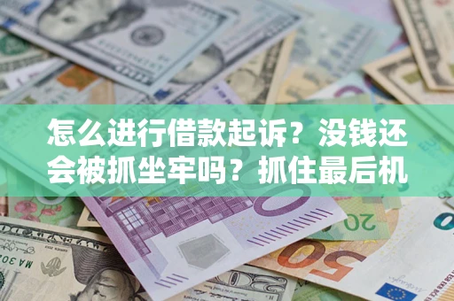 武汉怎么进行借款起诉？没钱还会被抓坐牢吗？抓住最后机会！