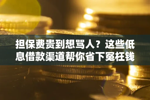 武汉担保费贵到想骂人？这些低息借款渠道帮你省下冤枉钱