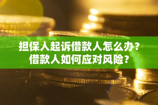 武汉担保人起诉借款人怎么办？借款人如何应对风险？