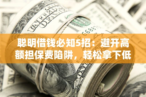 武汉聪明借钱必知5招：避开高额担保费陷阱，轻松拿下低息贷款